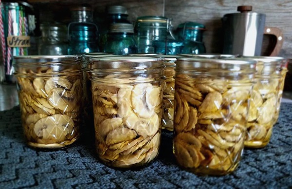 Comment mariner les champignons