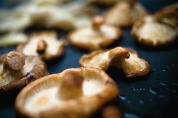 Comment mariner les champignons