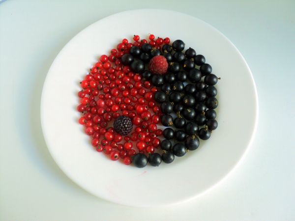Belle portion et portion de fruits
