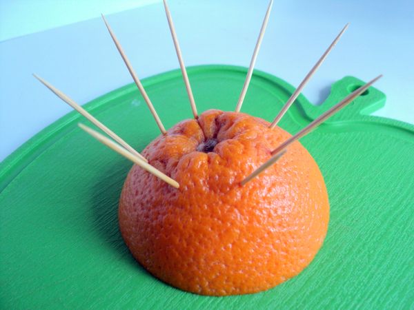 Belle portion et portion de fruits