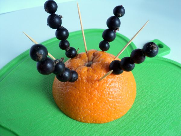 Belle portion et portion de fruits