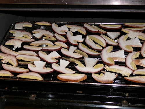 Comment sécher les champignons à la maison