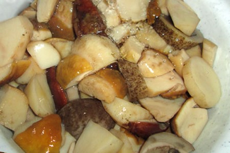 Comment congeler des champignons blancs pour les garder longtemps