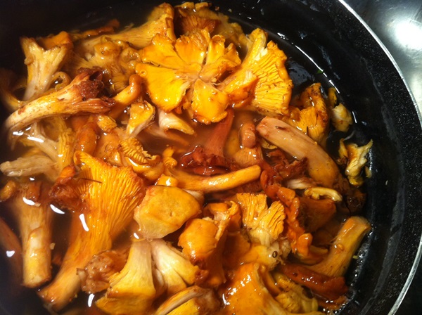 Comment faire cuire les chanterelles dans une poêle à frire
