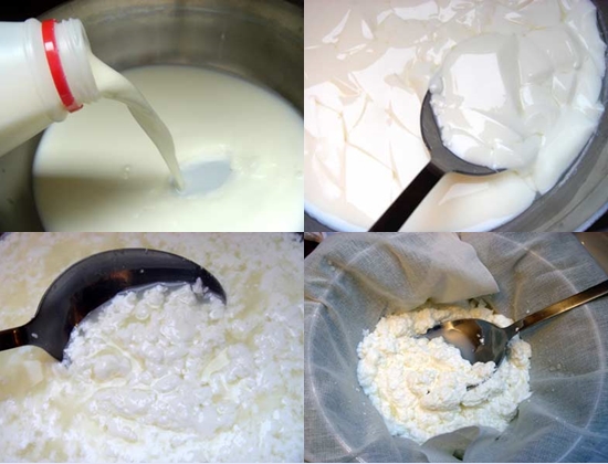 Comment faire cuire le fromage cottage à partir du lait à la maison