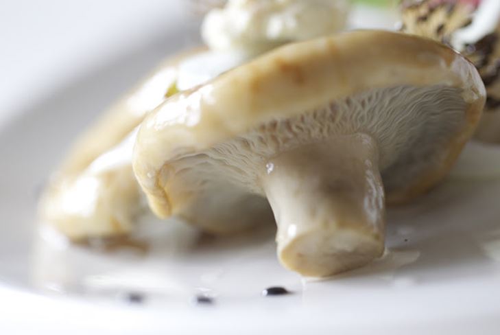 Comment saler un champignon: une manière chaude et froide de décapage pour l'hiver
