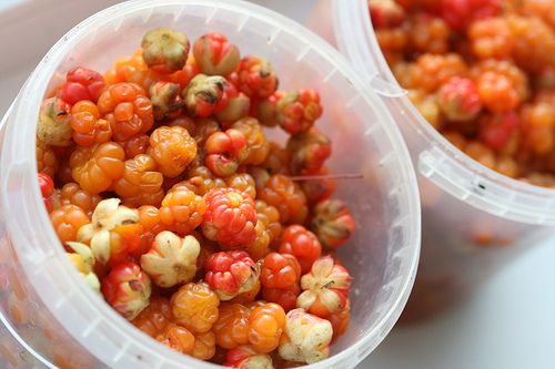 Comment faire bouillir une confiture de chicouté: une recette avec une photo