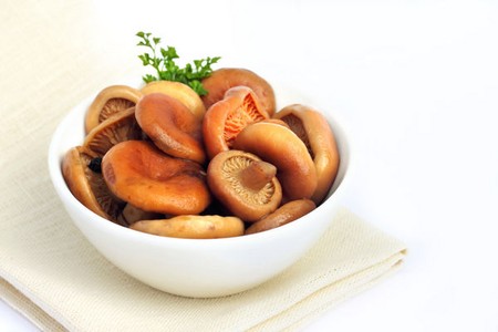 Champignons Solim porcs pour l'hiver Champignons Solim porcs pour l'hiver