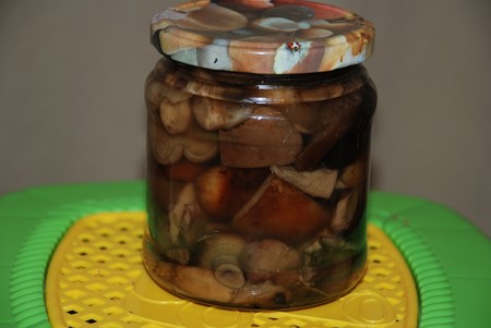 Champignons Solim porcs pour l'hiver Champignons Solim porcs pour l'hiver