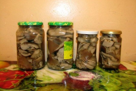 Champignons Solim porcs pour l'hiver