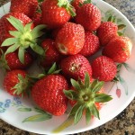 Comment fermer les blancs de fraises pour l'hiver - recettes de photos