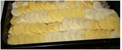 toutes les couches sont épongées avec de la mayonnaise un plat huilé avec de la mayonnaise