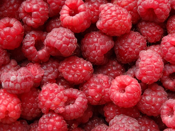 Délicieuse compote de framboises pour l'hiver