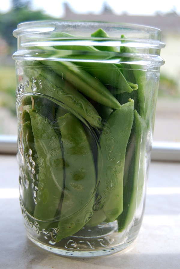 Pois verts, en conserve pour l'hiver à la maison