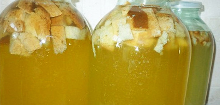 Recettes délicieuses et simples de kvas sur la sève de bouleau