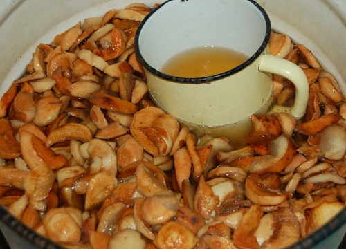 Recettes délicieuses et simples de kvas sur la sève de bouleau