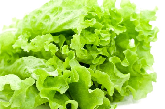 salade verte