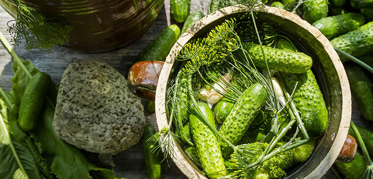 Concombre croustillant et salé dans une casserole
