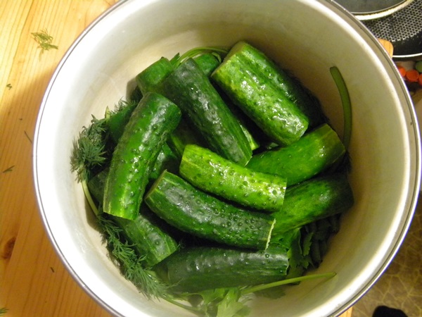 Concombre croustillant et salé dans une casserole