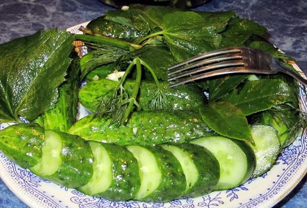 Concombre croustillant et salé dans une casserole