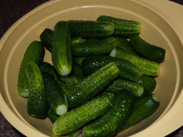 Concombre croustillant et salé dans une casserole