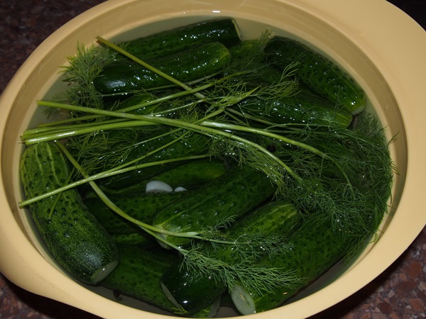 Concombre croustillant et salé dans une casserole