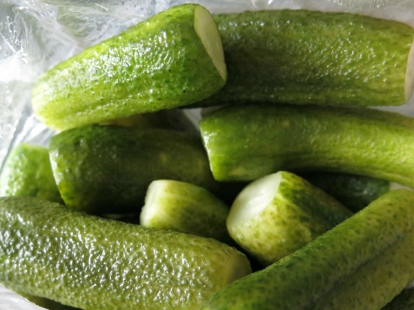 Concombre croustillant et salé dans une casserole