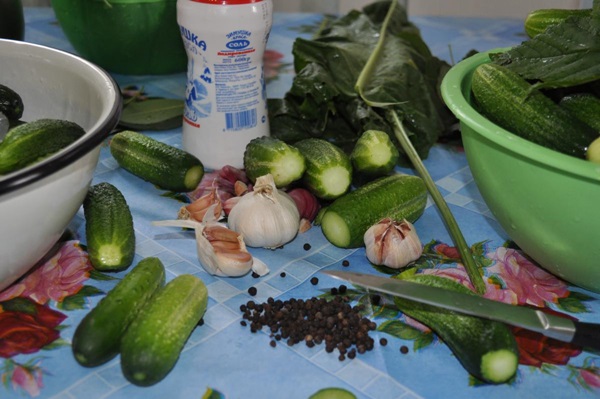 Concombre croustillant et salé dans une casserole