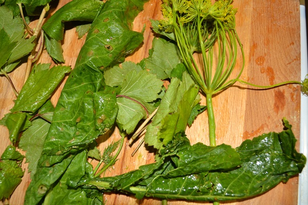 Concombre croustillant et salé dans une casserole