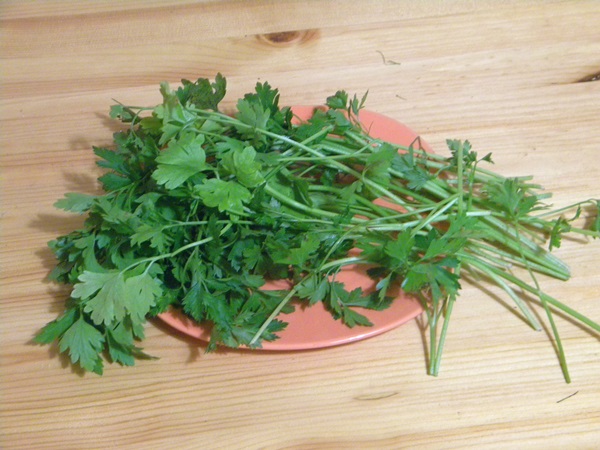 Concombre croustillant et salé dans une casserole