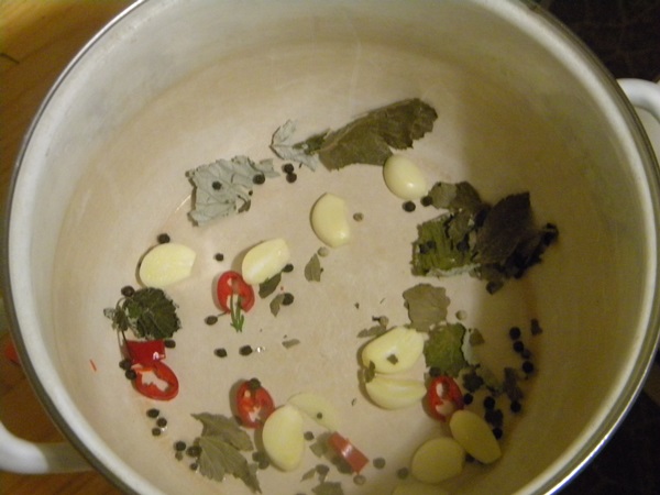 Concombre croustillant et salé dans une casserole