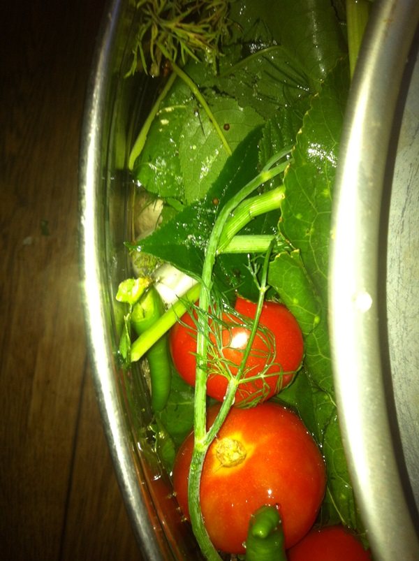 Tomates fraîchement salées dans un sac et une casserole