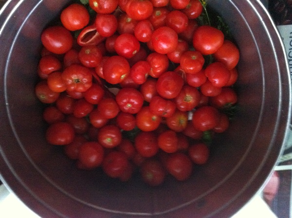 Tomates fraîchement salées dans un sac et une casserole