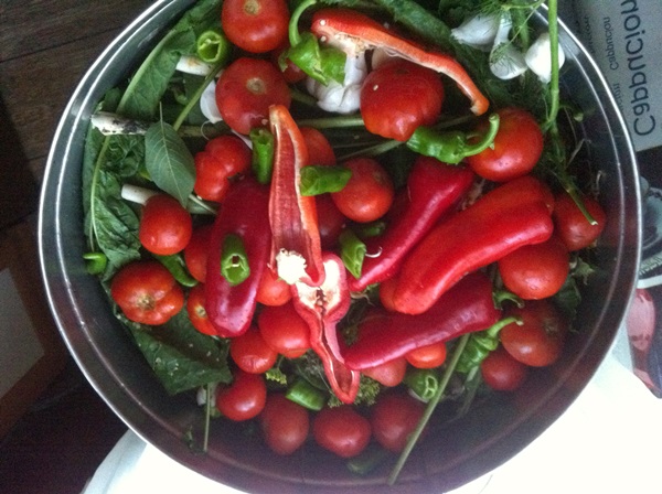 Tomates fraîchement salées dans un sac et une casserole