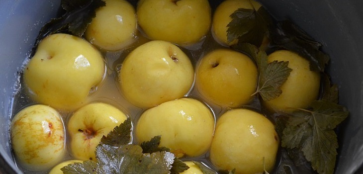 Recette pour les pommes mouillées