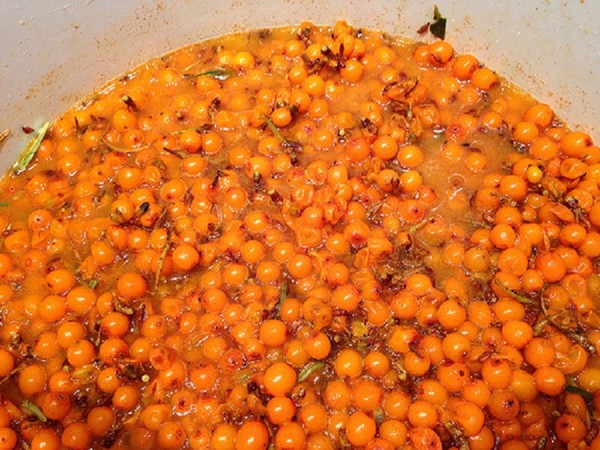 L'argousier pour l'hiver, les meilleures recettes: avec du sucre, sans cuisson, avec du miel, de la gelée