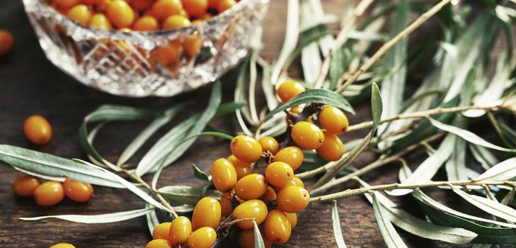 Recette pour la confiture de l'argousier