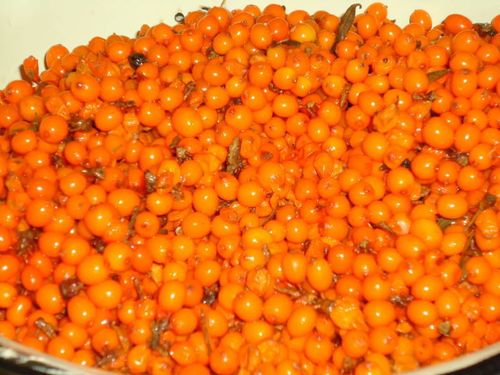 Confiture pasteurisée de l'argousier