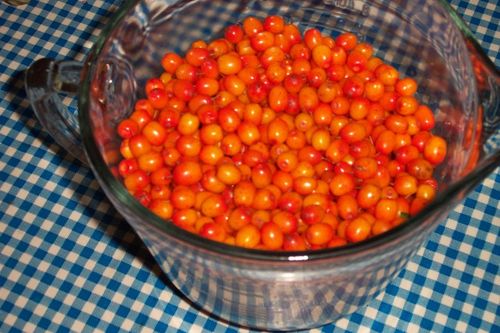 Confiture pasteurisée de l'argousier