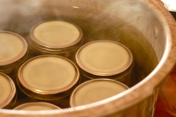Des recettes simples pour la conservation des concombres pour l'hiver sans vinaigre