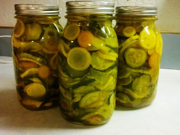 Des recettes simples pour la conservation des concombres pour l'hiver sans vinaigre