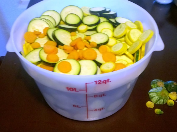 Des recettes simples pour la conservation des concombres pour l'hiver sans vinaigre