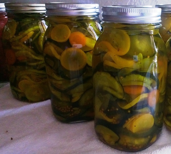 Des recettes simples pour la conservation des concombres pour l'hiver sans vinaigre
