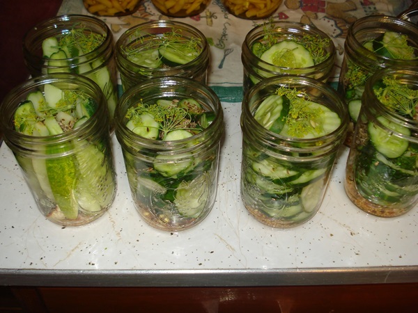 Des recettes simples pour la conservation des concombres pour l'hiver sans vinaigre