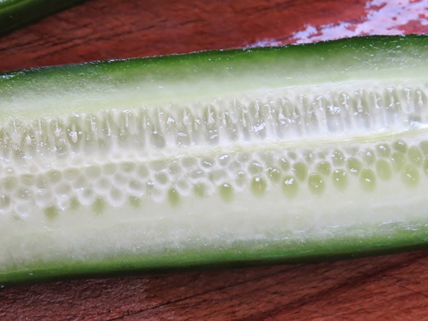 Des recettes simples pour la conservation des concombres pour l'hiver sans vinaigre