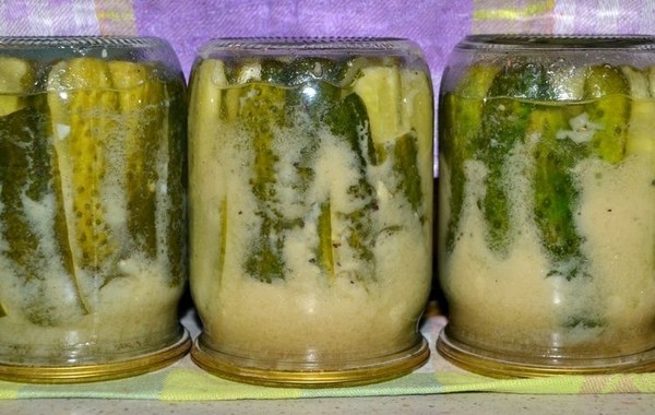 Concombres à la moutarde pour l'hiver sans stérilisation et avec elle, façon chaude et froide. Salade de concombres trop mûrs à la moutarde