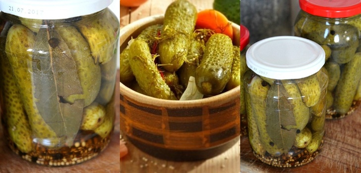 Concombres à la moutarde pour l'hiver en canettes, recettes avec photo