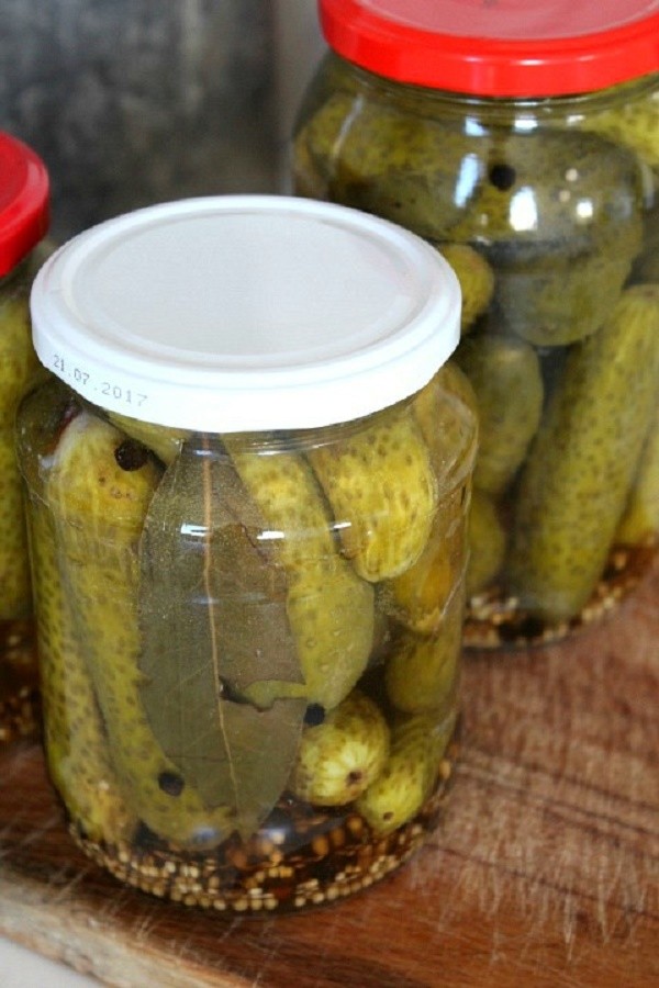 Concombres à la moutarde pour l'hiver en canettes, recettes avec photo
