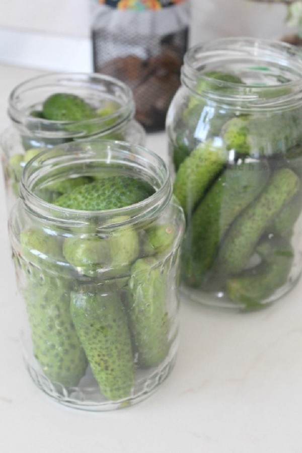 Concombres à la moutarde pour l'hiver en canettes, recettes avec photo