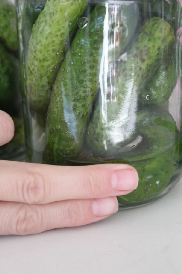 Concombres à la moutarde pour l'hiver en canettes, recettes avec photo